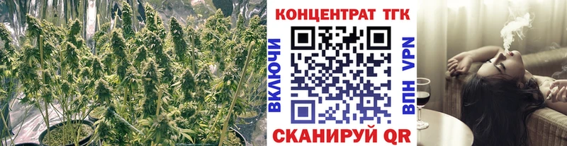 ТГК гашишное масло  Карачев 